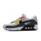 Nike Air Max 90 Uomo Scarpe Beige Grigio