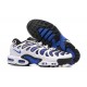 Nike Air Max Plus Drift Uomo Scarpe Bianco Blu and Nero