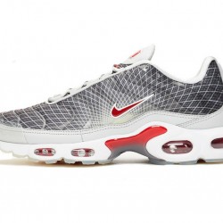 Nike Air Max Plus Tn Uomo Scarpe Grigio and Bianco