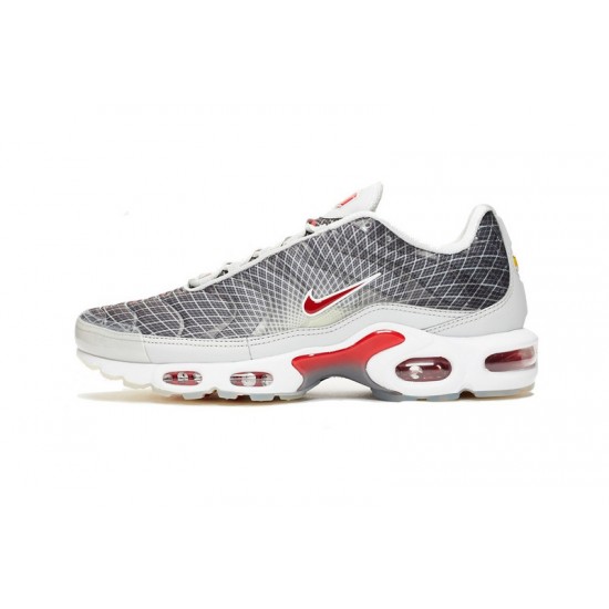 Nike Air Max Plus Tn Uomo Scarpe Grigio and Bianco