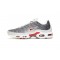 Nike Air Max Plus Tn Uomo Scarpe Grigio and Bianco