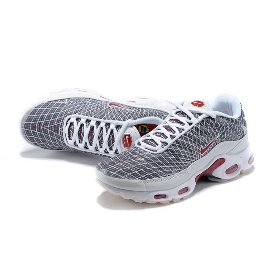 Nike Air Max Plus Tn Uomo Scarpe Grigio and Bianco