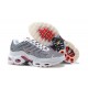 Nike Air Max Plus Tn Uomo Scarpe Grigio and Bianco