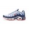 Nike Air Max Plus Tn Uomo Scarpe QS Bianco Blu and Rosso